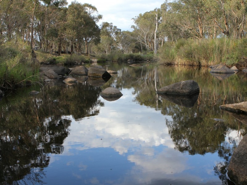 142 Six Mile Road, Dundee NSW 2370