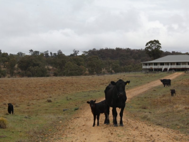 142 Six Mile Road, Dundee NSW 2370