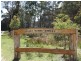 123 Warra Forest Road,, Mount Mitchell NSW 2365