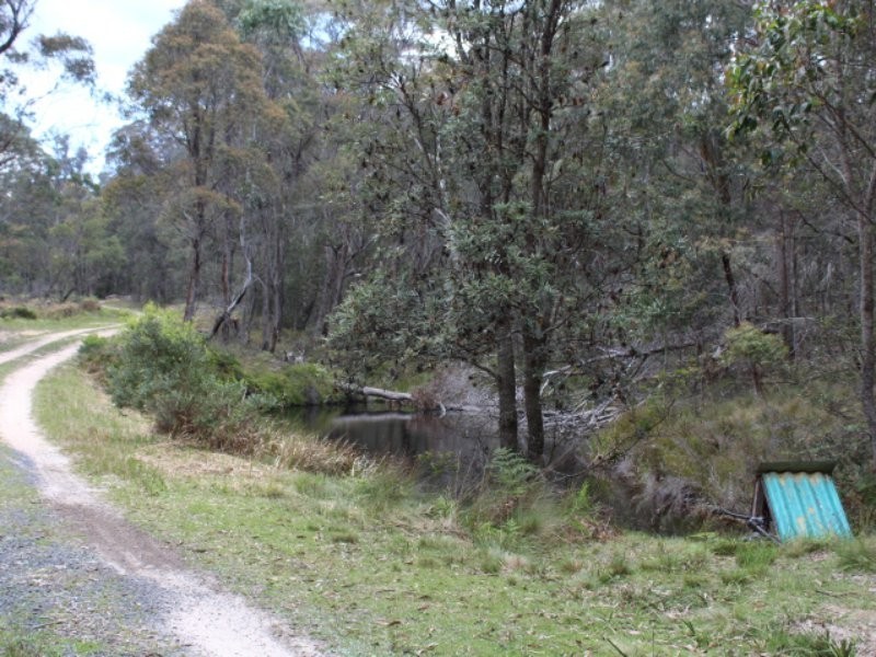 123 Warra Forest Road,, Mount Mitchell NSW 2365