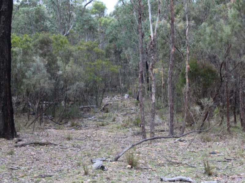 6/2285 Emmaville Road, Glen Innes NSW 2370