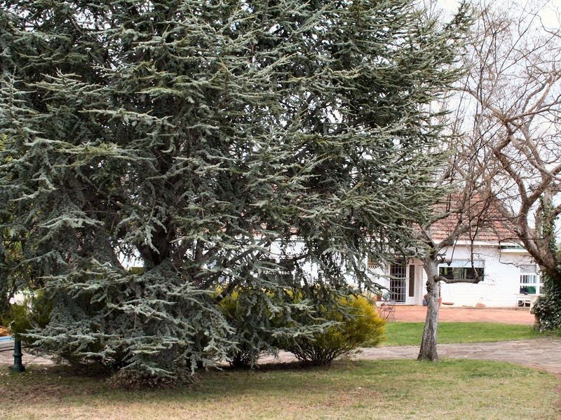15 Margaret Street, Glen Innes NSW 2370