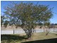 7 Blythe Street, Deepwater NSW 2371