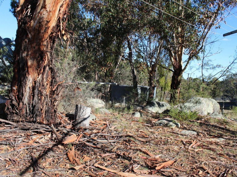 2816 Bates Road, Torrington NSW 2371