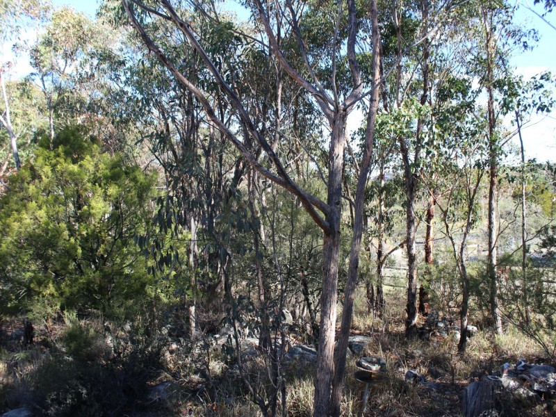 2816 Bates Road, Torrington NSW 2371