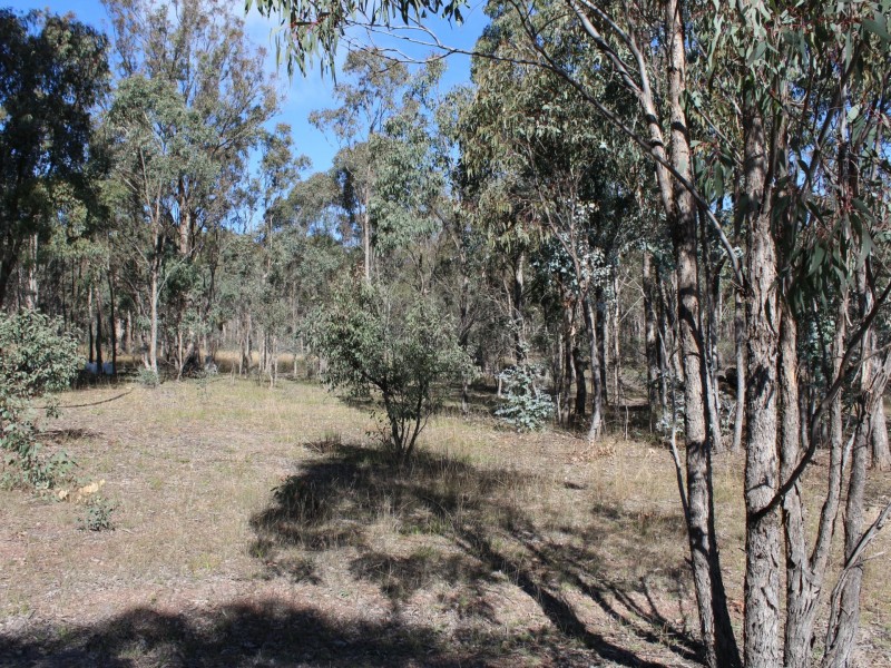 LOT 33 Wellington Vale Road, Emmaville NSW 2371