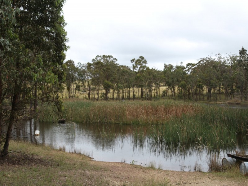 LOT 33 Wellington Vale Road, Emmaville NSW 2371