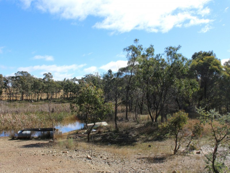 LOT 33 Wellington Vale Road, Emmaville NSW 2371