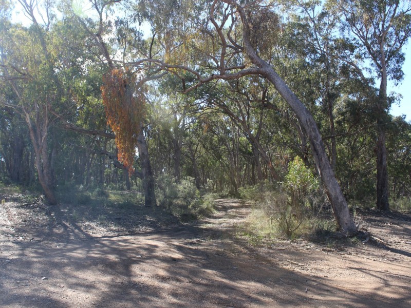 LOT 33 Wellington Vale Road, Emmaville NSW 2371