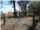 LOT 33 Wellington Vale Road, Emmaville NSW 2371