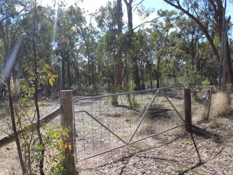 LOT 33 Wellington Vale Road, Emmaville NSW 2371