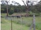 1546 Torrington Road, Stannum NSW 2371