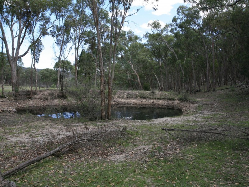 2104 Emmaville Road, Glen Innes NSW 2370