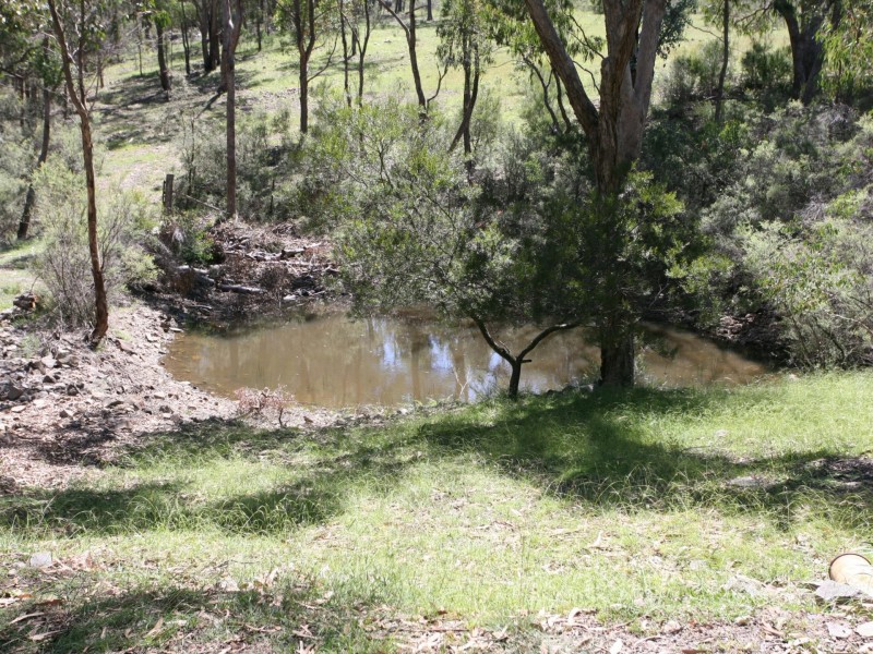 2104 Emmaville Road, Glen Innes NSW 2370