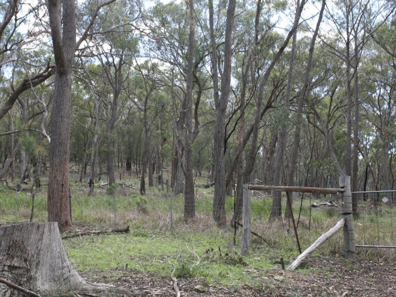 2104 Emmaville Road, Glen Innes NSW 2370