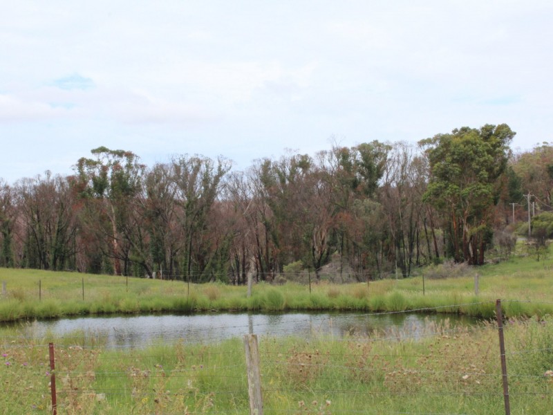 2-10 McDowells Lane, Torrington NSW 2371