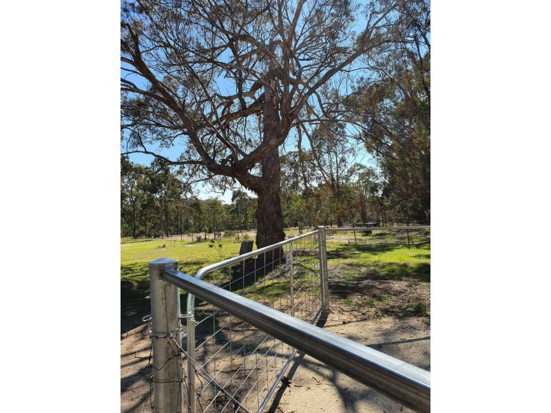 29 Catarrh Creek Road, Torrington NSW 2371