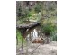 29 Catarrh Creek Road, Torrington NSW 2371