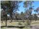 29 Catarrh Creek Road, Torrington NSW 2371
