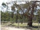 29 Catarrh Creek Road, Torrington NSW 2371