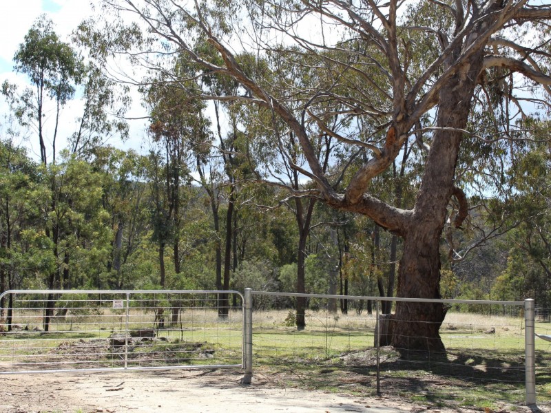 29 Catarrh Creek Road, Torrington NSW 2371