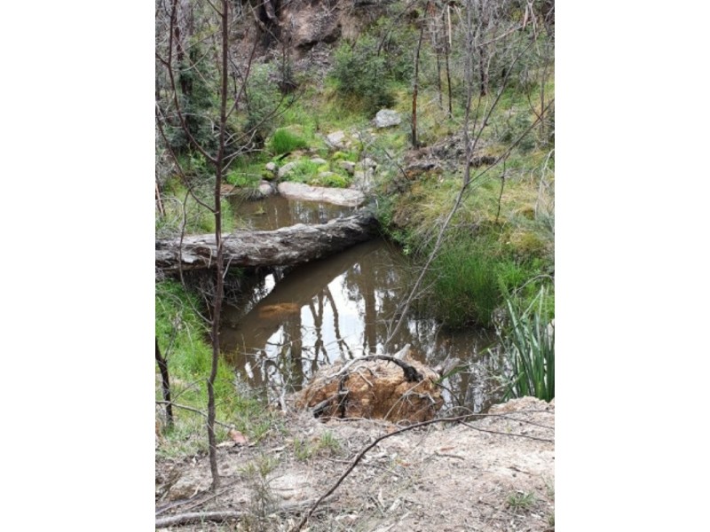 29 Catarrh Creek Road, Torrington NSW 2371