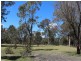 29 Catarrh Creek Road, Torrington NSW 2371