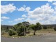 962 Polhill Road, Wellingrove NSW 2370