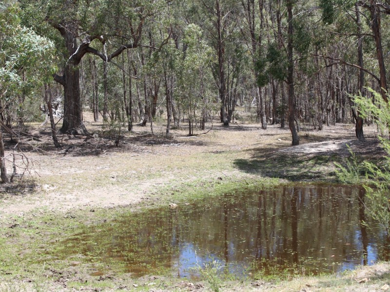 464 Wellingrove Road, Glen Innes NSW 2370