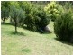 66 Sara River Road, Mount Mitchell NSW 2365