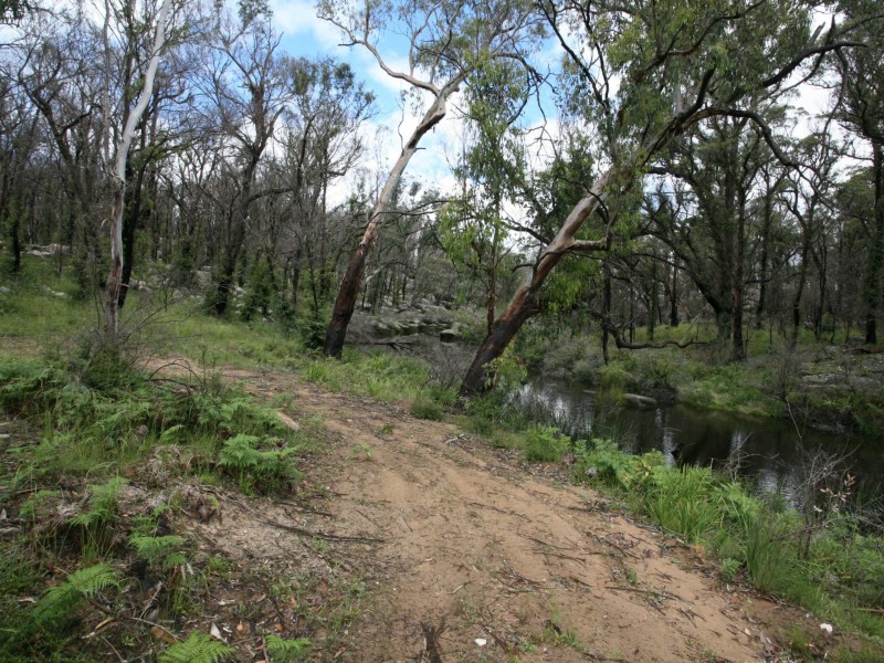 66 Sara River Road, Mount Mitchell NSW 2365