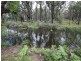 66 Sara River Road, Mount Mitchell NSW 2365