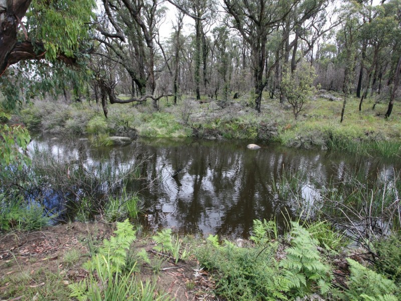 66 Sara River Road, Mount Mitchell NSW 2365