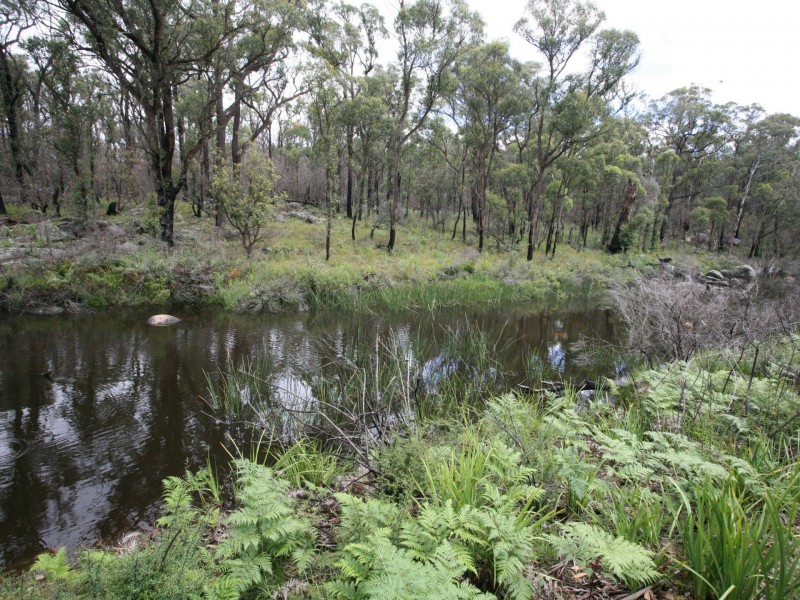 66 Sara River Road, Mount Mitchell NSW 2365