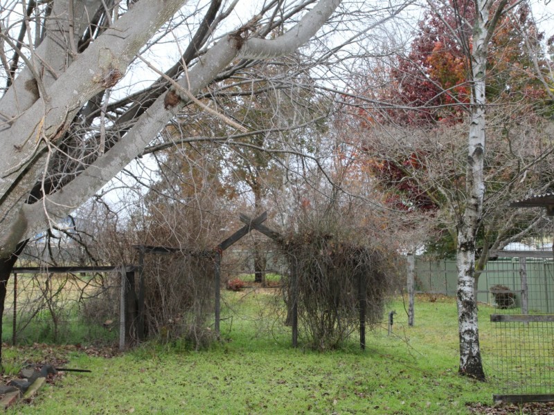 31 Taylor Street, Glen Innes NSW 2370