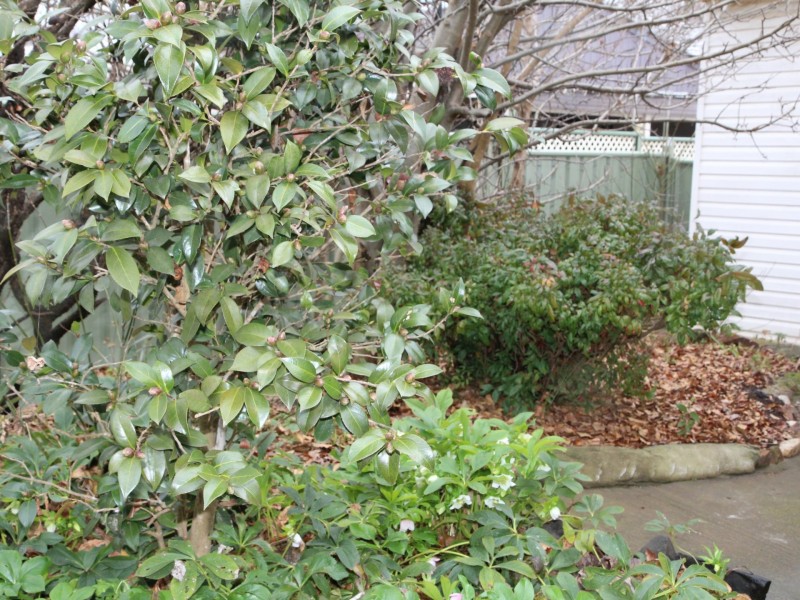 31 Taylor Street, Glen Innes NSW 2370