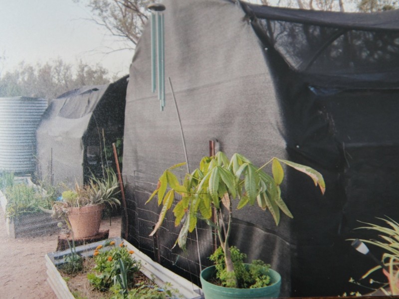 1094B Wallangra Road, Ashford NSW 2361