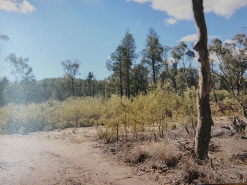 1094B Wallangra Road, Ashford NSW 2361