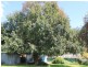 182 Church Street, Glen Innes NSW 2370
