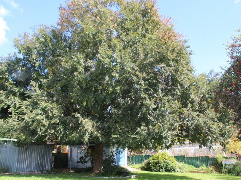 182 Church Street, Glen Innes NSW 2370