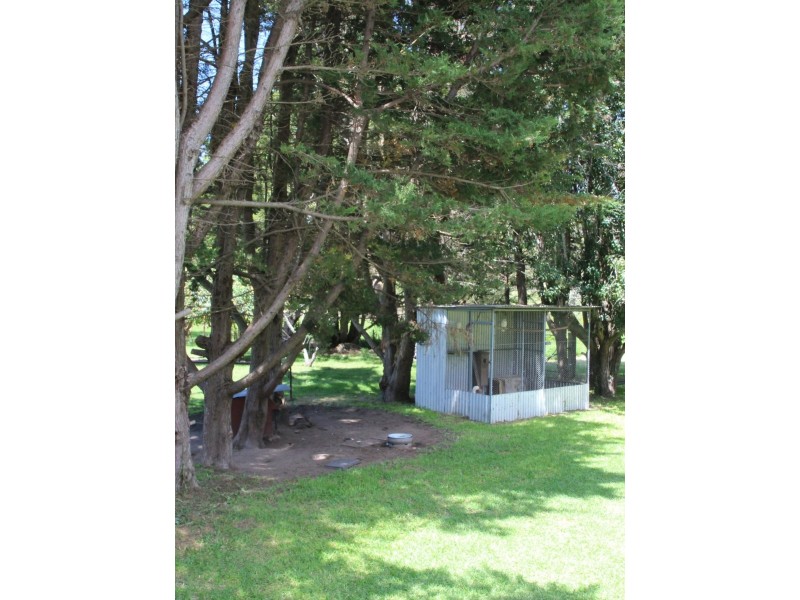 19 Grafton Street, Red Range NSW 2370