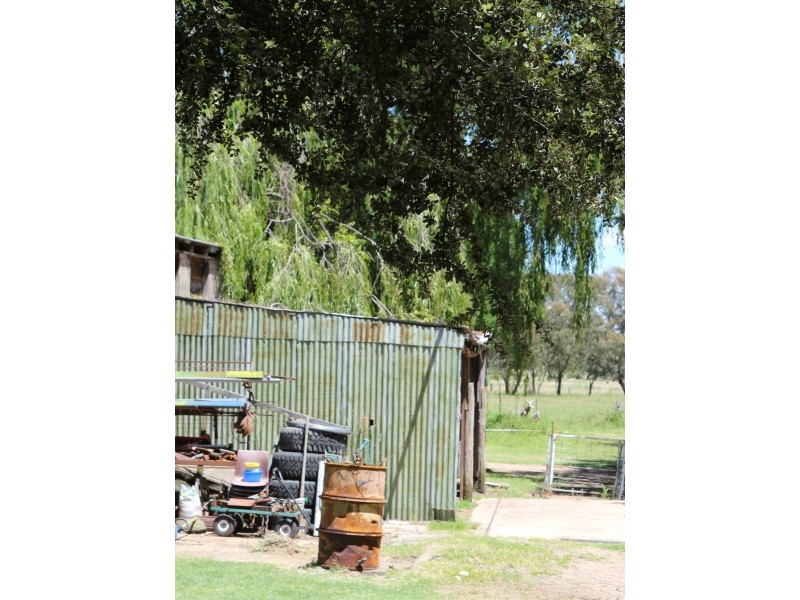 19 Grafton Street, Red Range NSW 2370