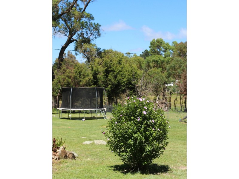 19 Grafton Street, Red Range NSW 2370