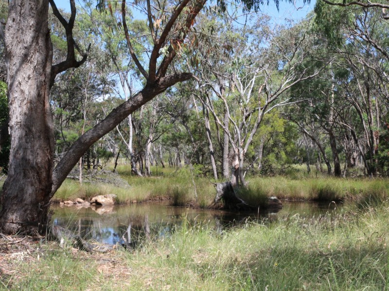 27 Buffalo Street, Emmaville NSW 2371