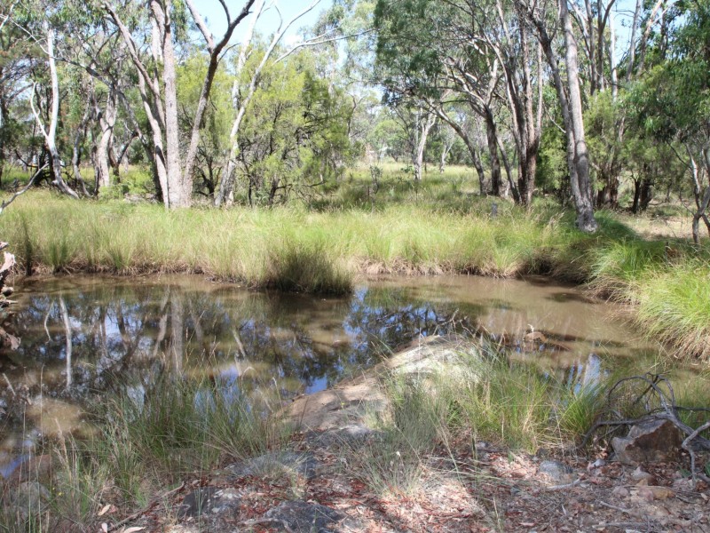 27 Buffalo Street, Emmaville NSW 2371