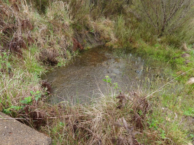 Lot 241 Coopers Road, Red Range NSW 2370