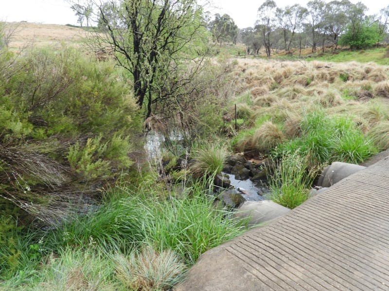 Lot 241 Coopers Road, Red Range NSW 2370