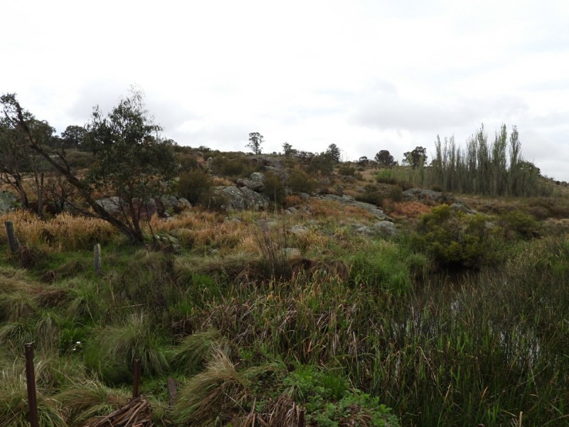 Lot 241 Coopers Road, Red Range NSW 2370