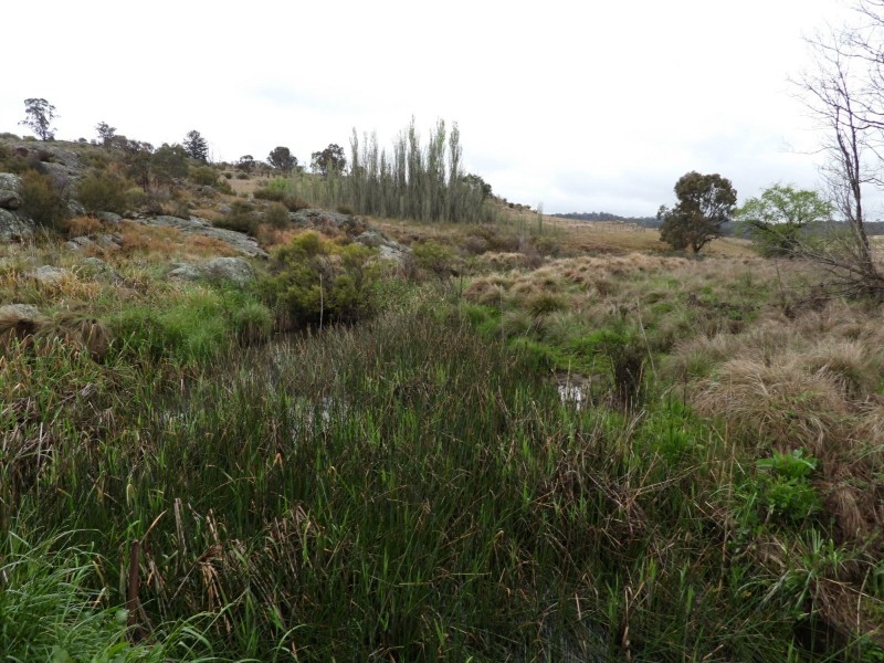 Lot 241 Coopers Road, Red Range NSW 2370