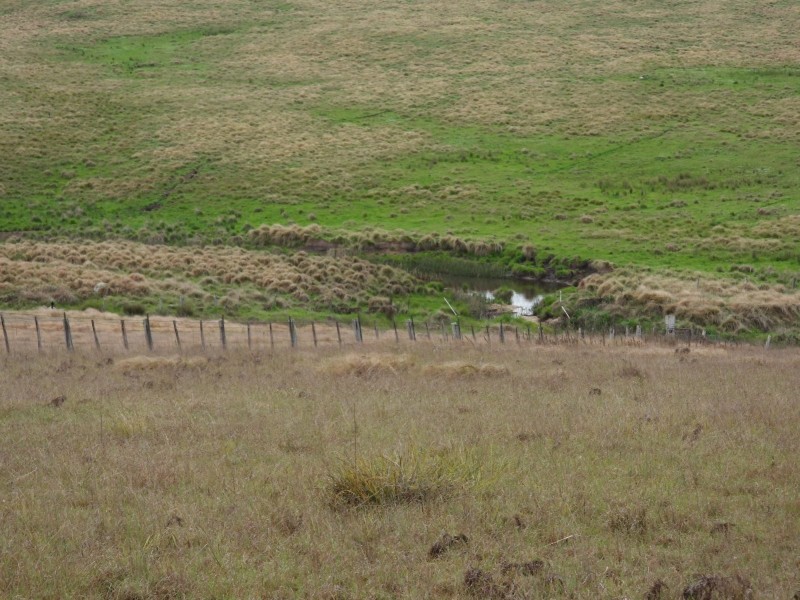 Lot 241 Coopers Road, Red Range NSW 2370